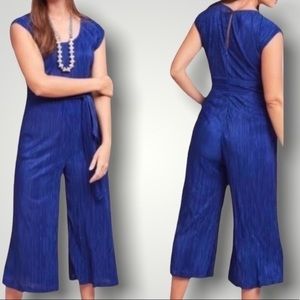 Anthropologie Maeve Sonata pleated crop Jumpsuit in blue